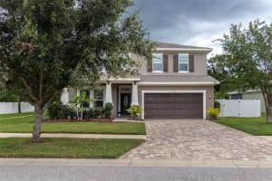 11842 FROST ASTER DRIVE, RIVERVIEW, FL 33579 - MLS#MFRTB8422930