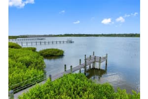 804 CHARLES BOULEVARD, OLDSMAR, FL 34677 - MLS#MFRTB8422935