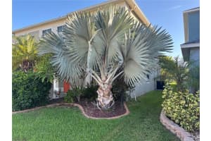 13040 AVALON CREST COURT, RIVERVIEW, FL 33579 - MLS#MFRTB8422950