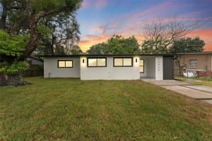 10908 N Aster Ave, TAMPA