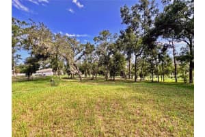 35174 ROTH LANE, DADE CITY, FL 33525 - MLS#MFRTB8422970