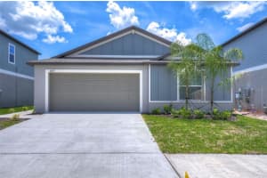 8879 LITTLE BLUSTEM DRIVE, LAND O LAKES, FL 34637 - MLS#MFRTB8422978