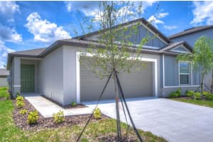 8879 LITTLE BLUSTEM DRIVE, LAND O LAKES, FL 34637 - MLS#MFRTB8422978