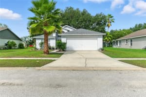 1915 Tupelo Ln, WESLEY CHAPEL