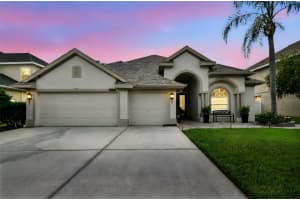 3609 Valencia Cove Ct, LAND O LAKES