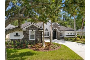 11918 Mandevilla Ct, TAMPA