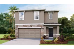 6769 Broad River Ave, LAND O LAKES