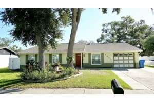 3611 WISPERBREATH LN, TAMPA, FL 33619 - MLS#MFRTB8423055