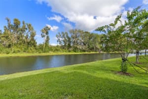 6038 SHINER STREET, LAND O LAKES, FL 34638 - MLS#MFRTB8423109