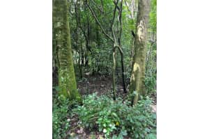 18293 ANNUTALAGA AVENUE, BROOKSVILLE, FL 34601 - MLS#MFRTB8423118