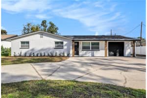 239 FREEPORT AVENUE, ST PETERSBURG, FL 33702 - MLS#MFRTB8423131