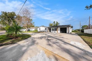 239 FREEPORT AVENUE, ST PETERSBURG, FL 33702 - MLS#MFRTB8423131