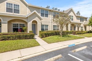 15942 FISHHAWK VIEW DRIVE, LITHIA, FL 33547 - MLS#MFRTB8423132