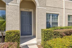 15942 FISHHAWK VIEW DRIVE, LITHIA, FL 33547 - MLS#MFRTB8423132