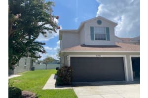 5356 Neil Dr, ST PETERSBURG