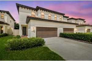 13032 Sanctuary Village Ln, TAMPA