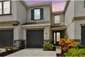 6728 Rocky Park St, TAMPA