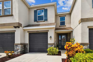 6728 ROCKY PARK STREET, TAMPA, FL 33625 - MLS#MFRTB8423186