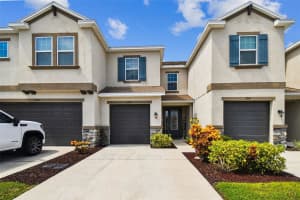 6728 ROCKY PARK STREET, TAMPA, FL 33625 - MLS#MFRTB8423186