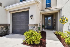 6728 ROCKY PARK STREET, TAMPA, FL 33625 - MLS#MFRTB8423186