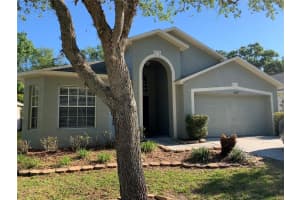 30653 Midtown Ct, WESLEY CHAPEL