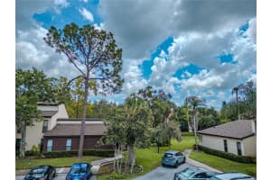1200 TARPON WOODS BOULEVARD, PALM HARBOR, FL 34685 - MLS#MFRTB8423219