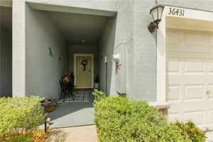 36431 Camp Fire Ter, ZEPHYRHILLS
