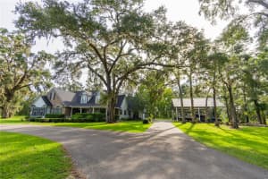264 50TH LANE, CROSS CITY, FL 32628 - MLS#MFRTB8423230