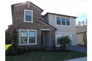 22542 STORYBOOK CABIN WAY, LAND O LAKES, FL 34637 - MLS#MFRTB8423233