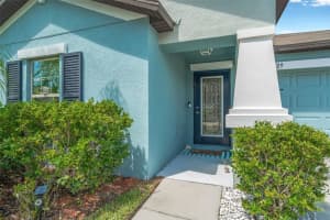 10429 CARLOWAY HILLS DRIVE, WIMAUMA, FL 33598 - MLS#MFRTB8423236