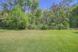 20513 SULTANA COURT, TAMPA, FL 33647 - MLS#MFRTB8423254