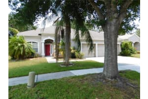 12902 Cattail Shore Ln, RIVERVIEW