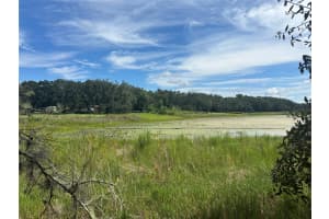 449 450 & E1/2 LOT 451 SW SHOREWOOD DRIVE, DUNNELLON, FL 34431 - MLS#MFRTB8423292