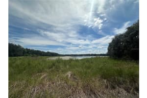 449 450 & E1/2 LOT 451 SW SHOREWOOD DRIVE, DUNNELLON, FL 34431 - MLS#MFRTB8423292