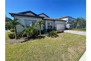 13817 Sharp Hawk Dr, RIVERVIEW