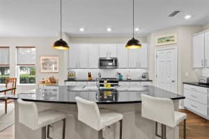 14948 RENAISSANCE AVENUE, ODESSA, FL 33556 - MLS#MFRTB8423348