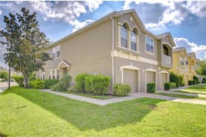 9141 Moonlit Meadows Loop, RIVERVIEW