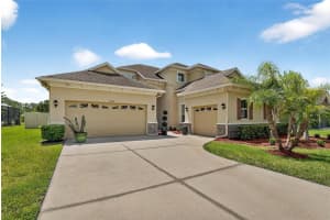 27202 Sora Blvd, WESLEY CHAPEL