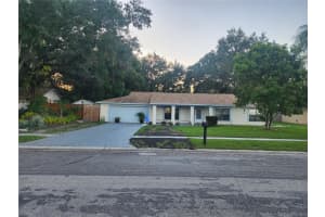 14216 Briarthorn Dr, TAMPA