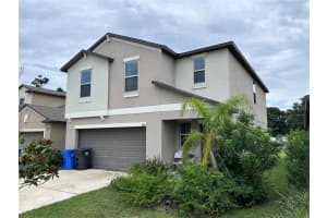 808 Nutmeg Spice Pl, RUSKIN