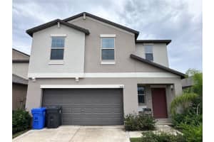 808 NUTMEG SPICE PLACE, RUSKIN, FL 33570 - MLS#MFRTB8423397