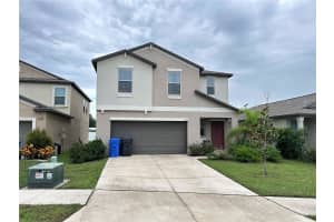 808 NUTMEG SPICE PLACE, RUSKIN, FL 33570 - MLS#MFRTB8423397
