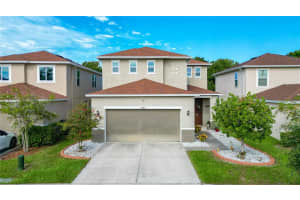 10703 Southern Forest Dr, RIVERVIEW