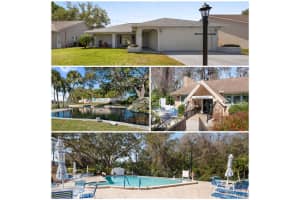 3948 Tarpon Pointe Cir, PALM HARBOR