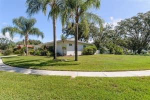 1137 LANYARD STREET, PALM HARBOR, FL 34685 - MLS#MFRTB8423411