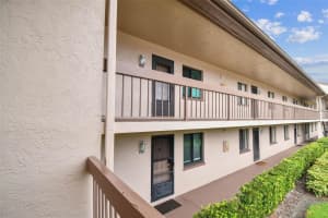 204 MARY DRIVE, OLDSMAR, FL 34677 - MLS#MFRTB8423438