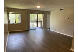 13387 ARBOR POINTE CIRCLE, TAMPA, FL 33617 - MLS#MFRTB8423457