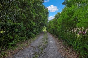 825 CRENSHAW LAKE ROAD, LUTZ, FL 33548 Sold 10/10/25