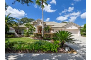 17890 ARBOR GREENE DRIVE, TAMPA, FL 33647 - MLS#MFRTB8423528