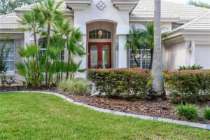 17890 ARBOR GREENE DRIVE, TAMPA, FL 33647 - MLS#MFRTB8423528